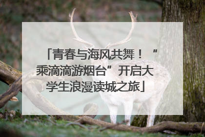 青春与海风共舞！“乘滴滴游烟台”开启大学生浪漫读城之旅