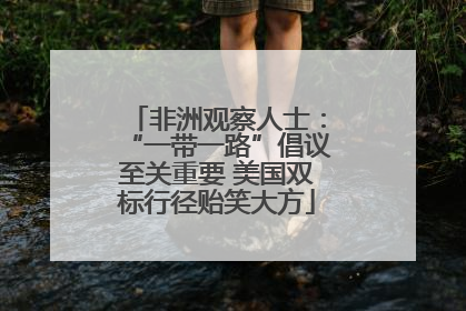 非洲观察人士：“一带一路”倡议至关重要 美国双标行径贻笑大方