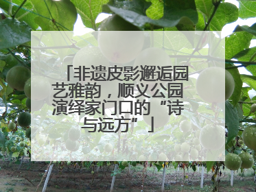 非遗皮影邂逅园艺雅韵，顺义公园演绎家门口的“诗与远方”