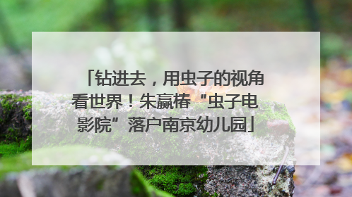 钻进去，用虫子的视角看世界！朱赢椿“虫子电影院”落户南京幼儿园