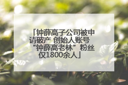 钟薛高子公司被申请破产 创始人账号“钟薛高老林”粉丝仅1800余人
