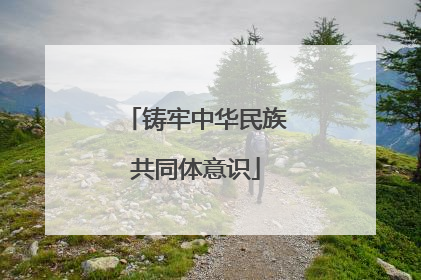 铸牢中华民族共同体意识