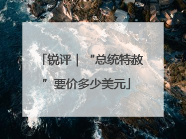 锐评｜“总统特赦”要价多少美元
