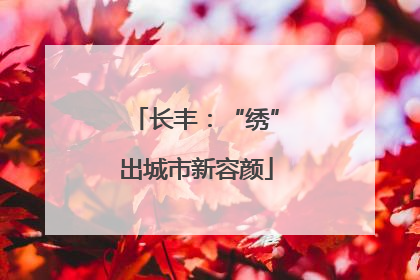 长丰：“绣”出城市新容颜