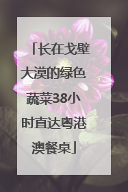 长在戈壁大漠的绿色蔬菜38小时直达粤港澳餐桌