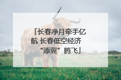 长春净月牵手亿航 长春低空经济“添翼”腾飞