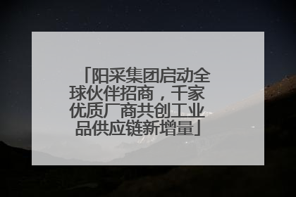 阳采集团启动全球伙伴招商，千家优质厂商共创工业品供应链新增量