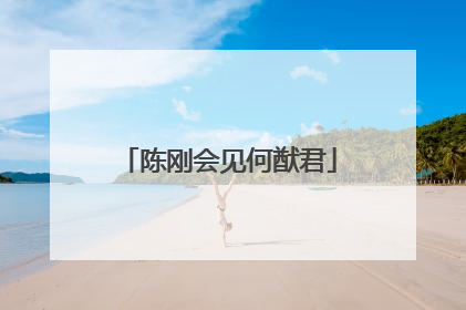 陈刚会见何猷君