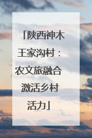陕西神木王家沟村：农文旅融合 激活乡村活力