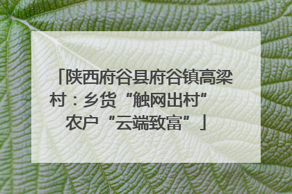 陕西府谷县府谷镇高梁村：乡货“触网出村” 农户“云端致富”