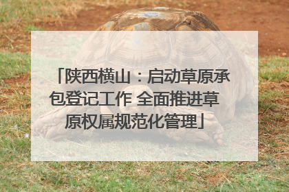 陕西横山：启动草原承包登记工作 全面推进草原权属规范化管理