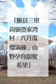 随县三里岗镇贾家湾村：八月瓜缀满藤，山野孕育甜蜜希望