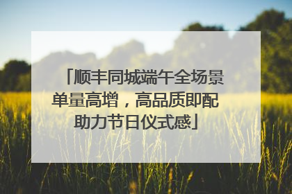 顺丰同城端午全场景单量高增，高品质即配助力节日仪式感