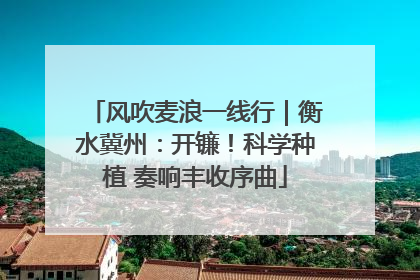 风吹麦浪一线行｜衡水冀州：开镰！科学种植 奏响丰收序曲