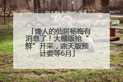 馋人的仙居杨梅有消息了！大棚版抢“鲜”开采，露天版预计要等6月