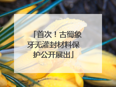 首次！古蜀象牙无灌封材料保护公开展出