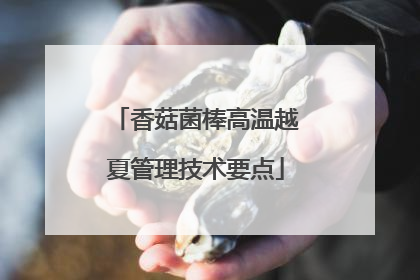 香菇菌棒高温越夏管理技术要点