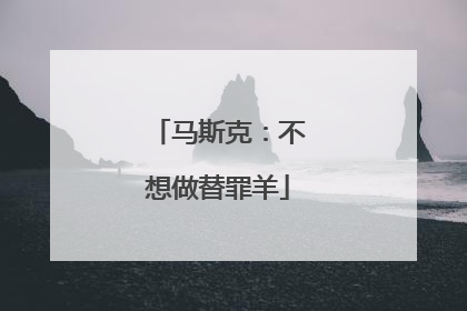 马斯克：不想做替罪羊