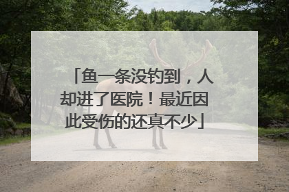 鱼一条没钓到，人却进了医院！最近因此受伤的还真不少