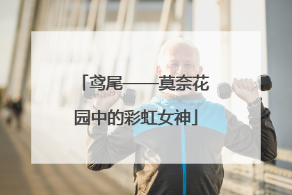 鸢尾——莫奈花园中的彩虹女神