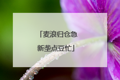 麦浪归仓急 新垄点豆忙