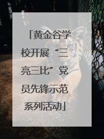 黄金谷学校开展“三亮三比”党员先锋示范系列活动