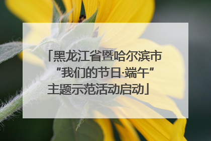 黑龙江省暨哈尔滨市“我们的节日·端午”主题示范活动启动