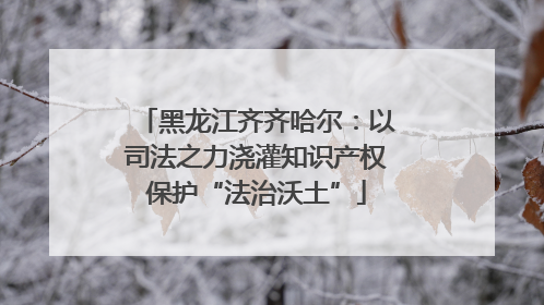 黑龙江齐齐哈尔：以司法之力浇灌知识产权保护“法治沃土”