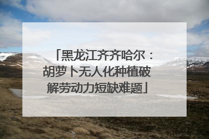 黑龙江齐齐哈尔：胡萝卜无人化种植破解劳动力短缺难题