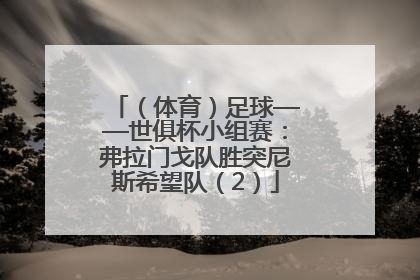 （体育）足球——世俱杯小组赛：弗拉门戈队胜突尼斯希望队（2）