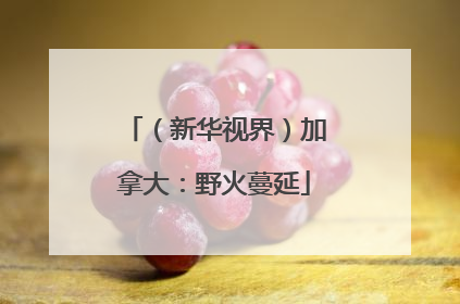 （新华视界）加拿大：野火蔓延