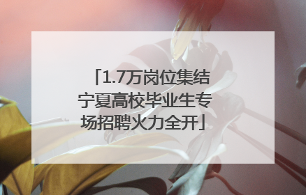 1.7万岗位集结 宁夏高校毕业生专场招聘火力全开