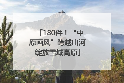 180件！“中原画风”跨越山河绽放雪域高原