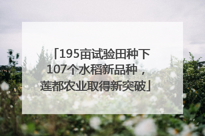 195亩试验田种下107个水稻新品种，莲都农业取得新突破