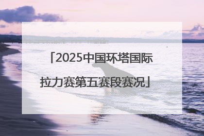 2025中国环塔国际拉力赛第五赛段赛况