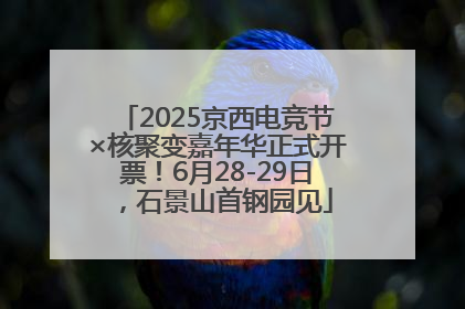 2025京西电竞节×核聚变嘉年华正式开票！6月28-29日，石景山首钢园见