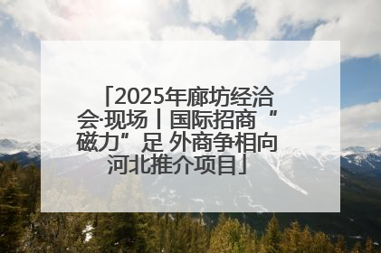 2025年廊坊经洽会·现场丨国际招商“磁力”足 外商争相向河北推介项目