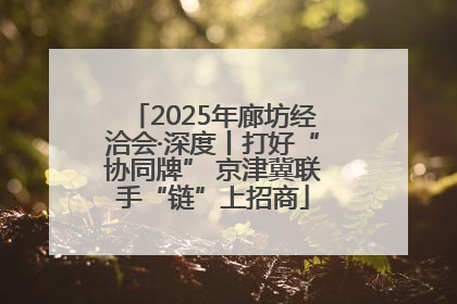 2025年廊坊经洽会·深度丨打好“协同牌” 京津冀联手“链”上招商