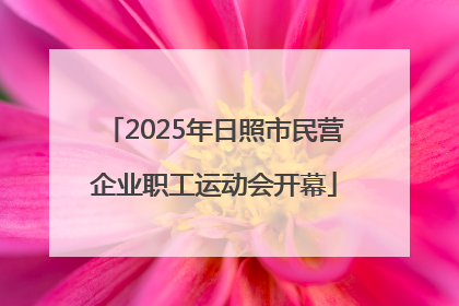 2025年日照市民营企业职工运动会开幕
