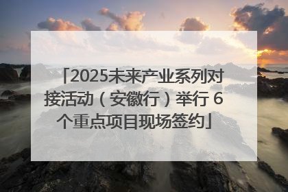 2025未来产业系列对接活动（安徽行）举行 6个重点项目现场签约