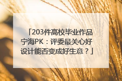 203件高校毕业作品宁海PK：评委最关心好设计能否变成好生意？