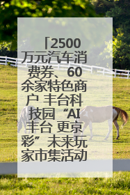 2500万元汽车消费券、60余家特色商户 丰台科技园“AI丰台 更京彩”未来玩家市集活动正式开幕