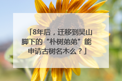 8年后，迁移到吴山脚下的“朴树弟弟”能申请古树名木么？