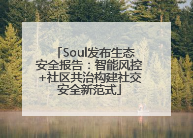 Soul发布生态安全报告：智能风控+社区共治构建社交安全新范式