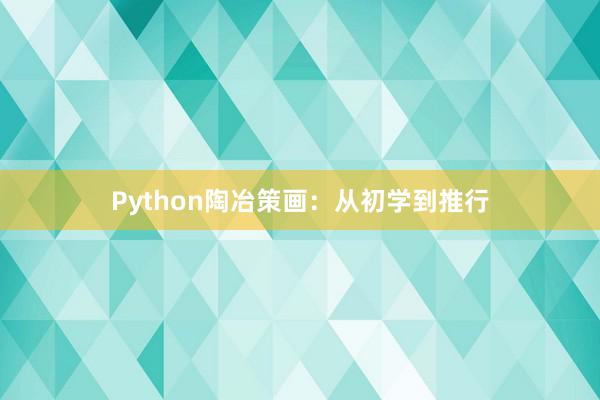 Python陶冶策画：从初学到推行