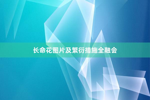 长命花图片及繁衍措施全融会