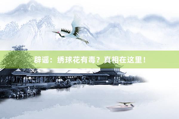 辟谣：绣球花有毒？真相在这里！