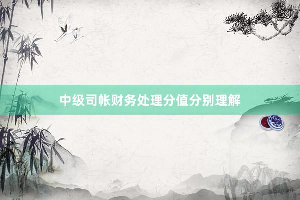 中级司帐财务处理分值分别理解